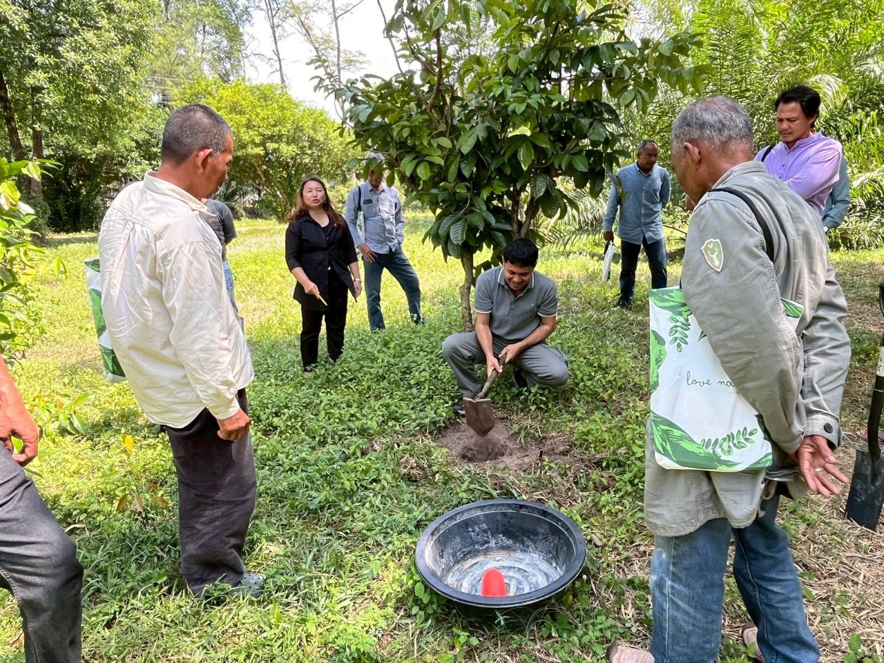 ภาพประกอบที่ 3