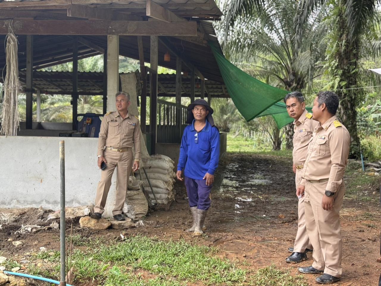 ภาพประกอบที่ 7