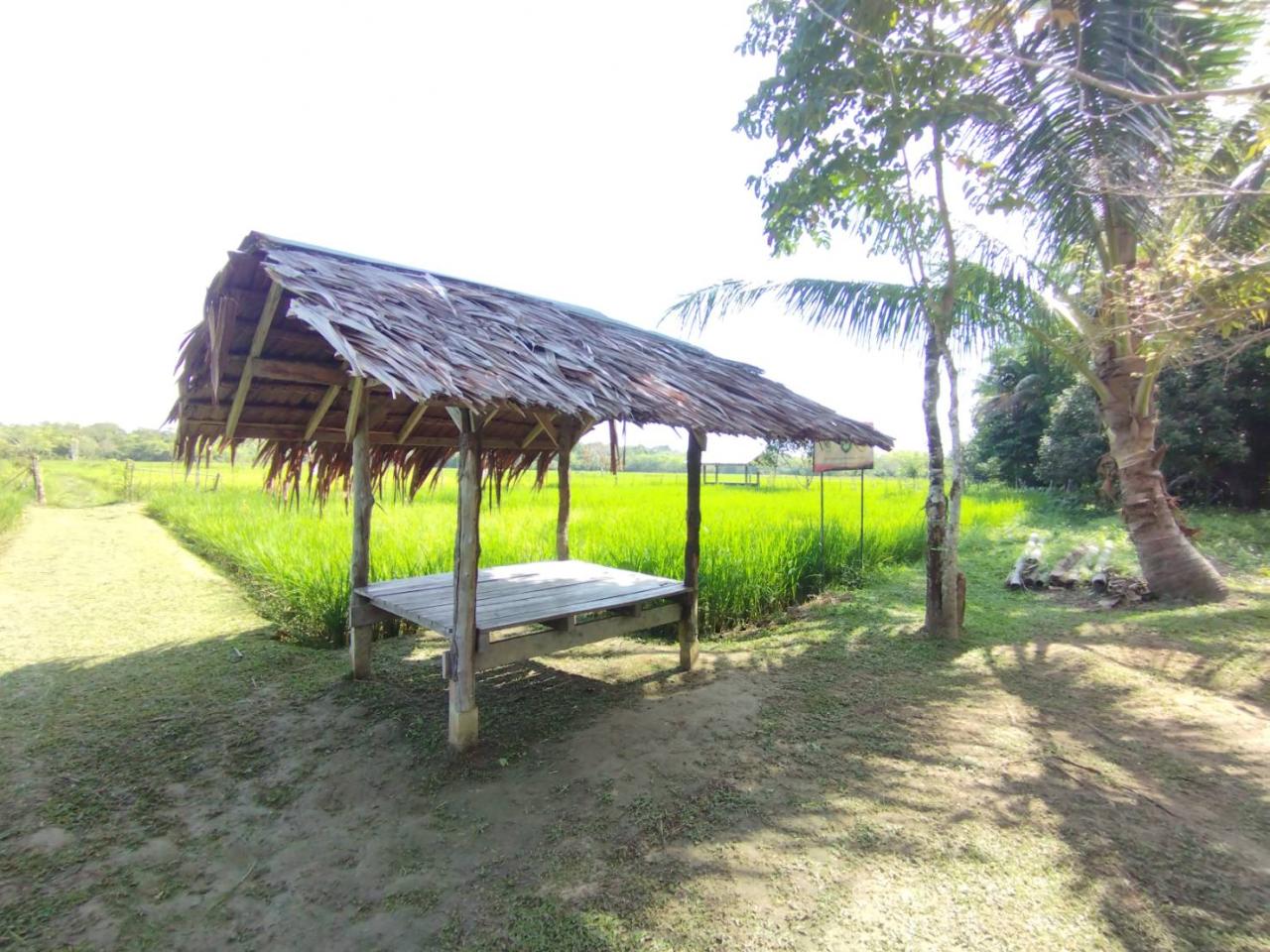 ภาพประกอบที่ 8