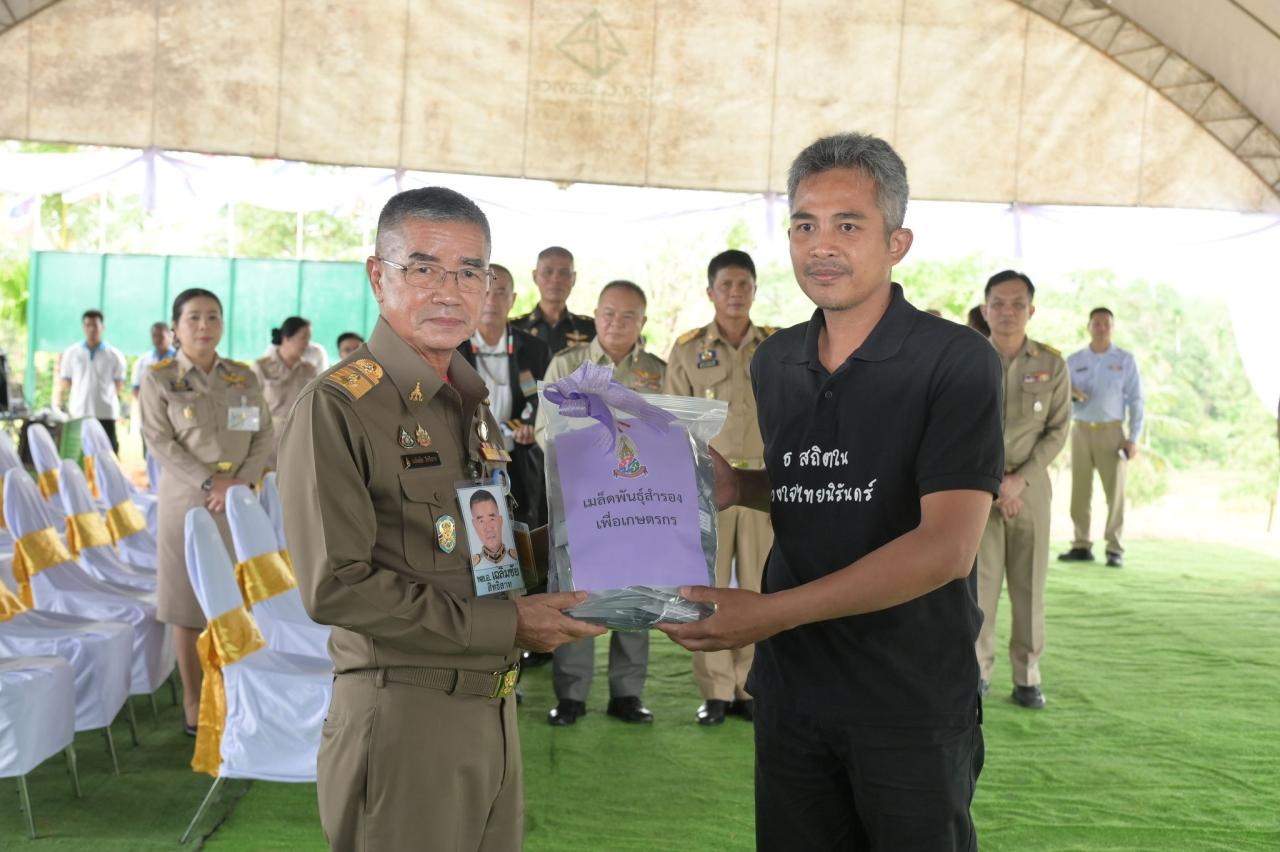 ภาพประกอบที่ 8