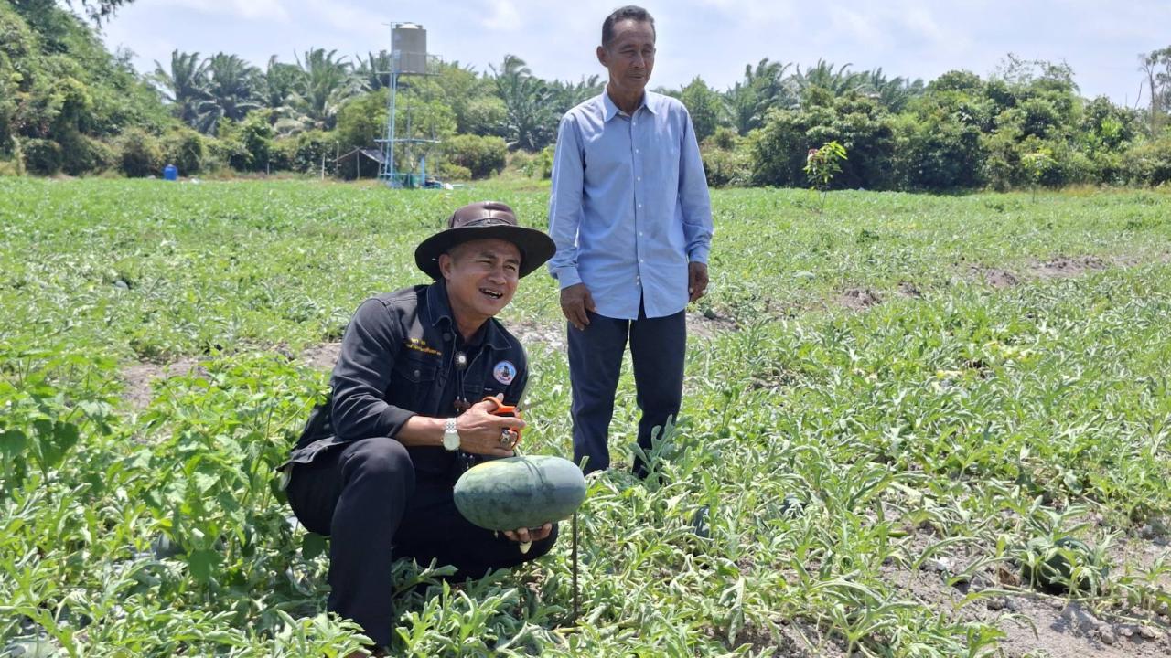 ภาพประกอบที่ 14