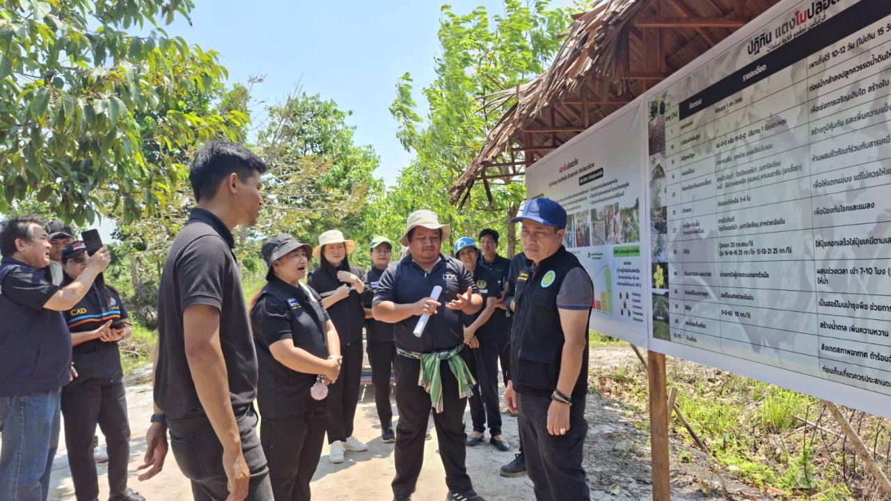 ภาพประกอบที่ 29