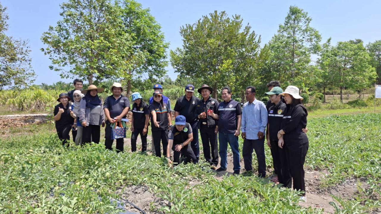 ภาพประกอบที่ 31