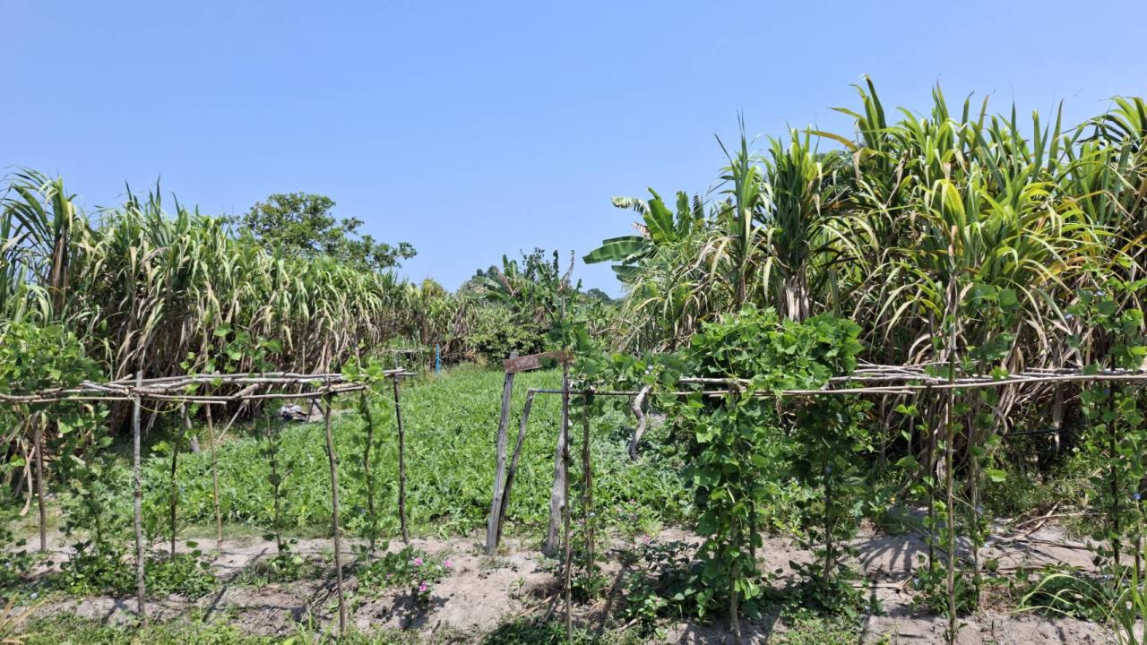 ภาพประกอบที่ 37