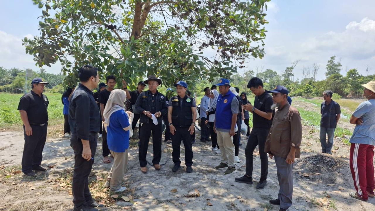 ภาพประกอบที่ 51