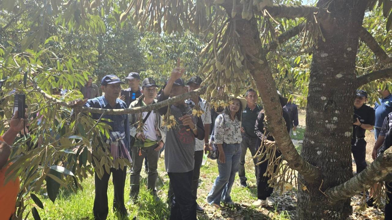 ภาพประกอบที่ 1