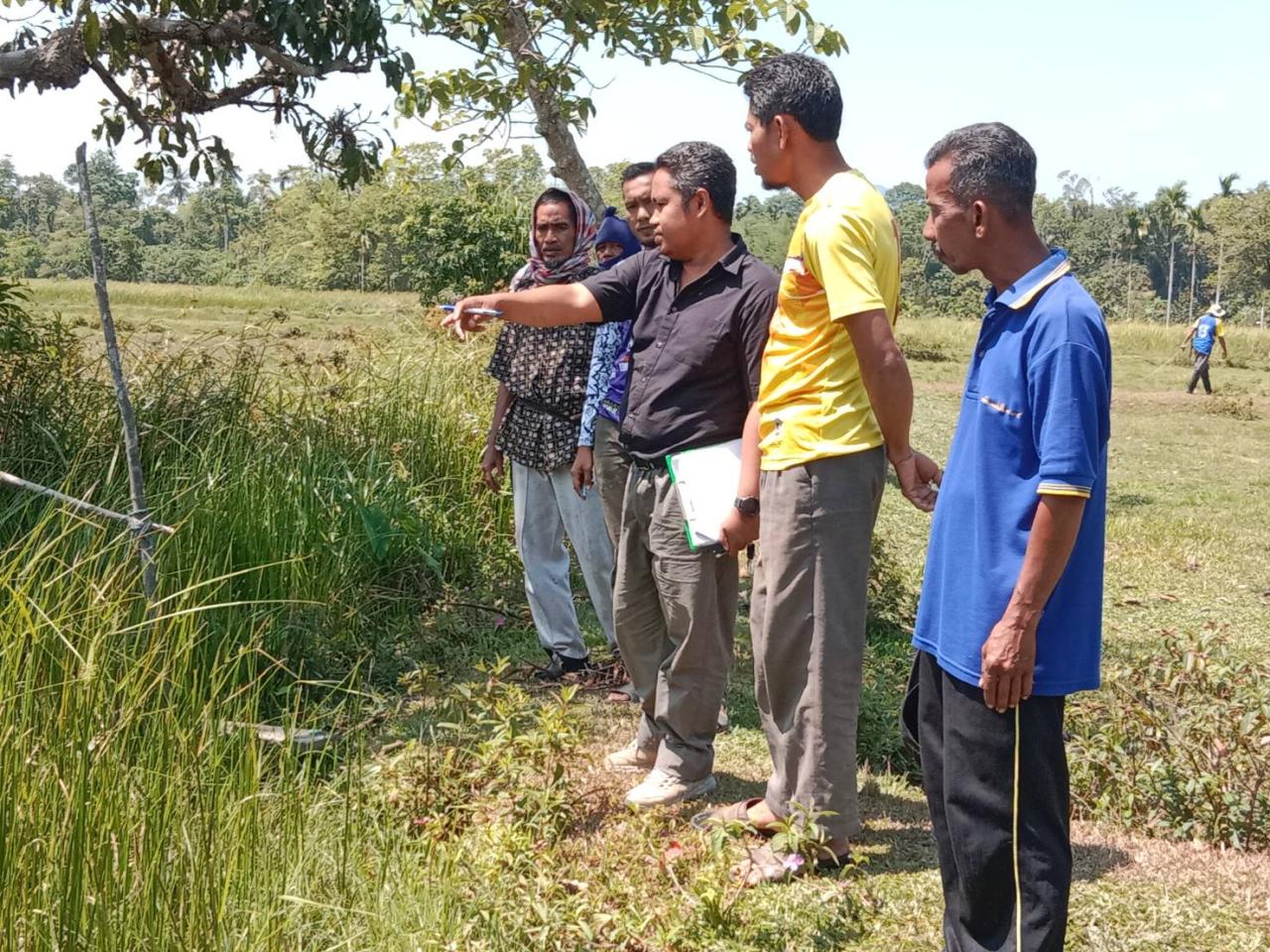 ภาพประกอบที่ 5