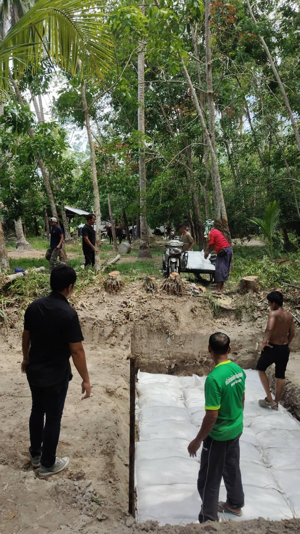 ภาพประกอบที่ 2