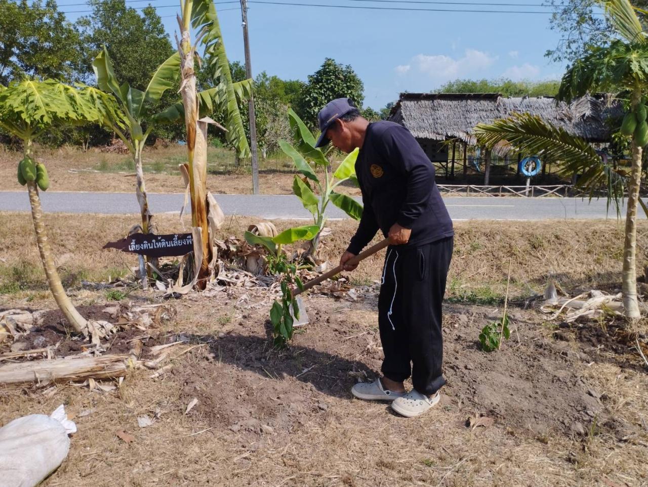 ภาพประกอบที่ 5