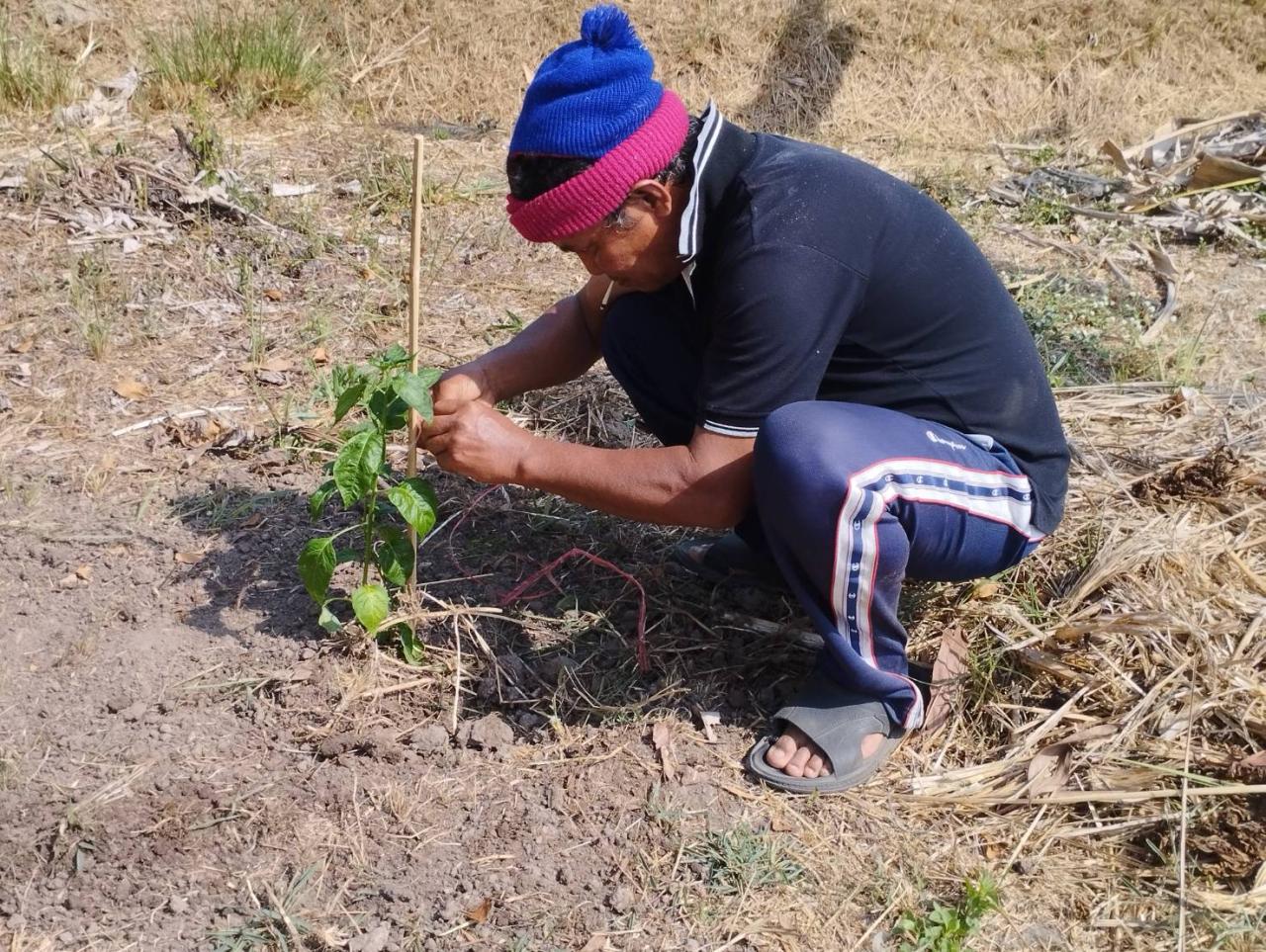 ภาพประกอบที่ 6