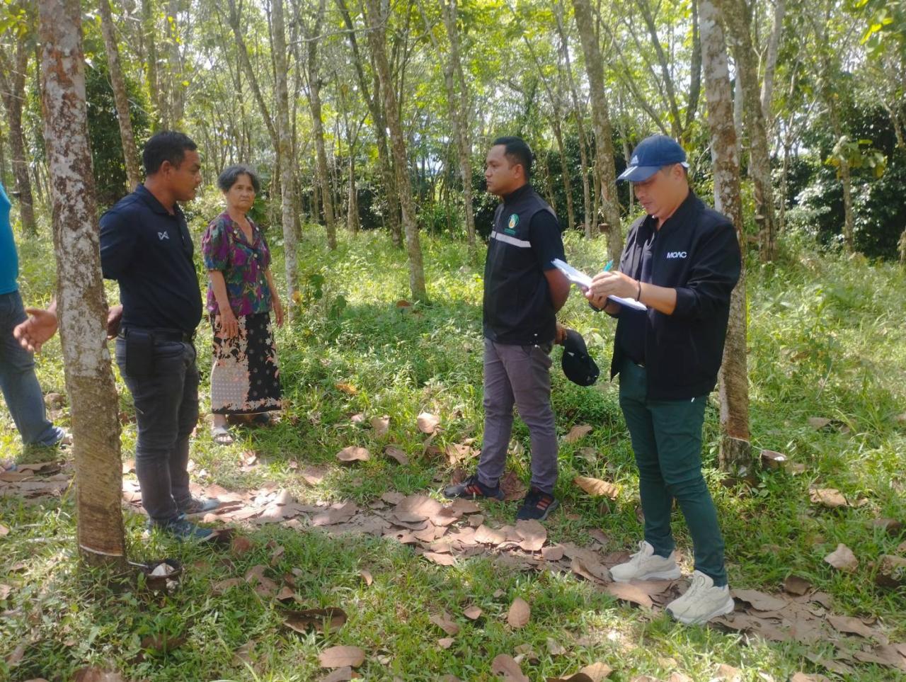 ภาพประกอบที่ 3