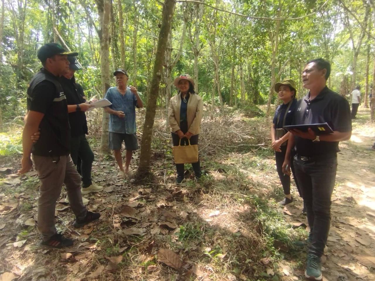 ภาพประกอบที่ 5