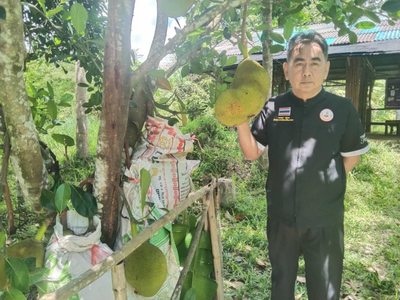 ภาพประกอบที่ 0