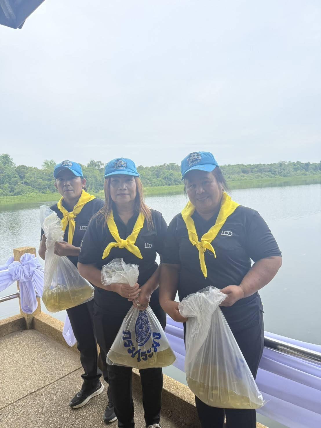 ภาพประกอบที่ 5