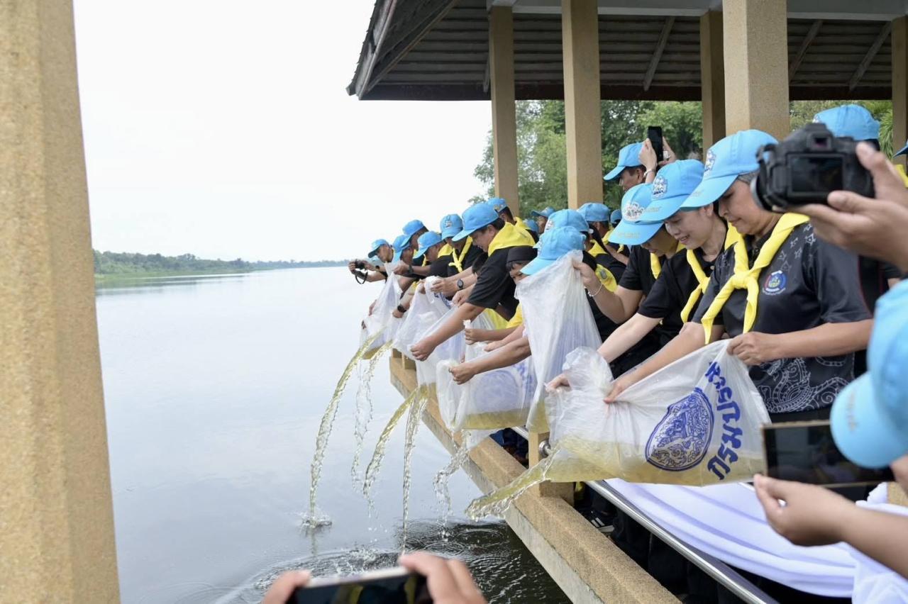 ภาพประกอบที่ 6