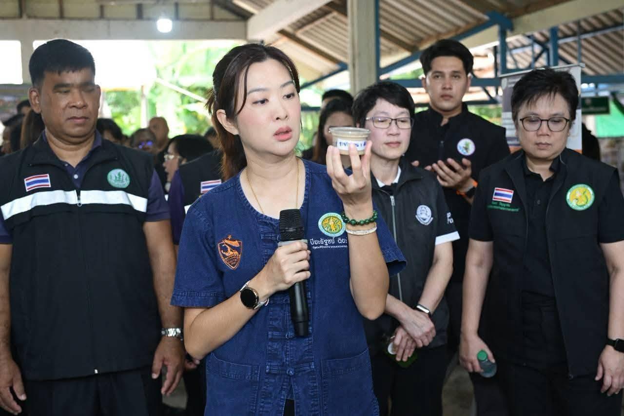 ภาพประกอบที่ 0