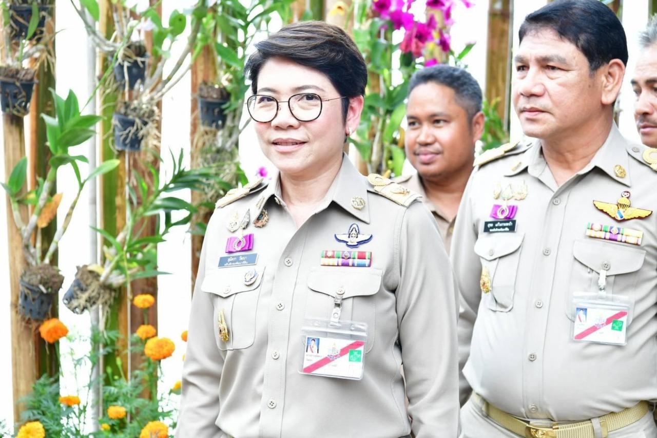 ภาพประกอบที่ 17