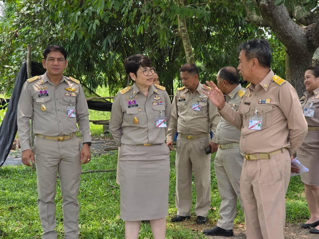 ภาพประกอบที่ 2