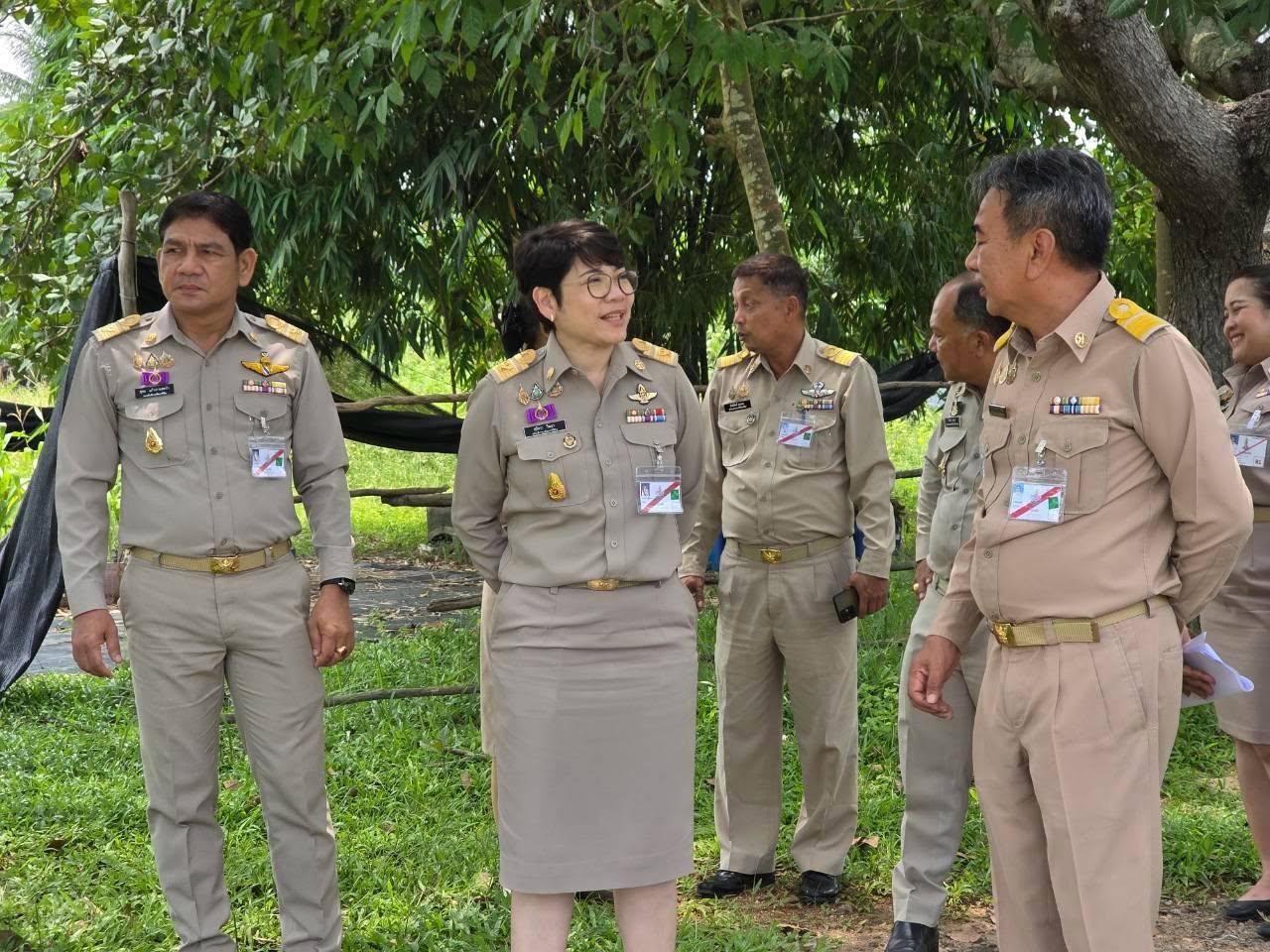 ภาพประกอบที่ 3