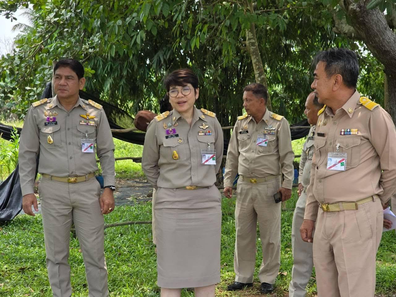 ภาพประกอบที่ 4