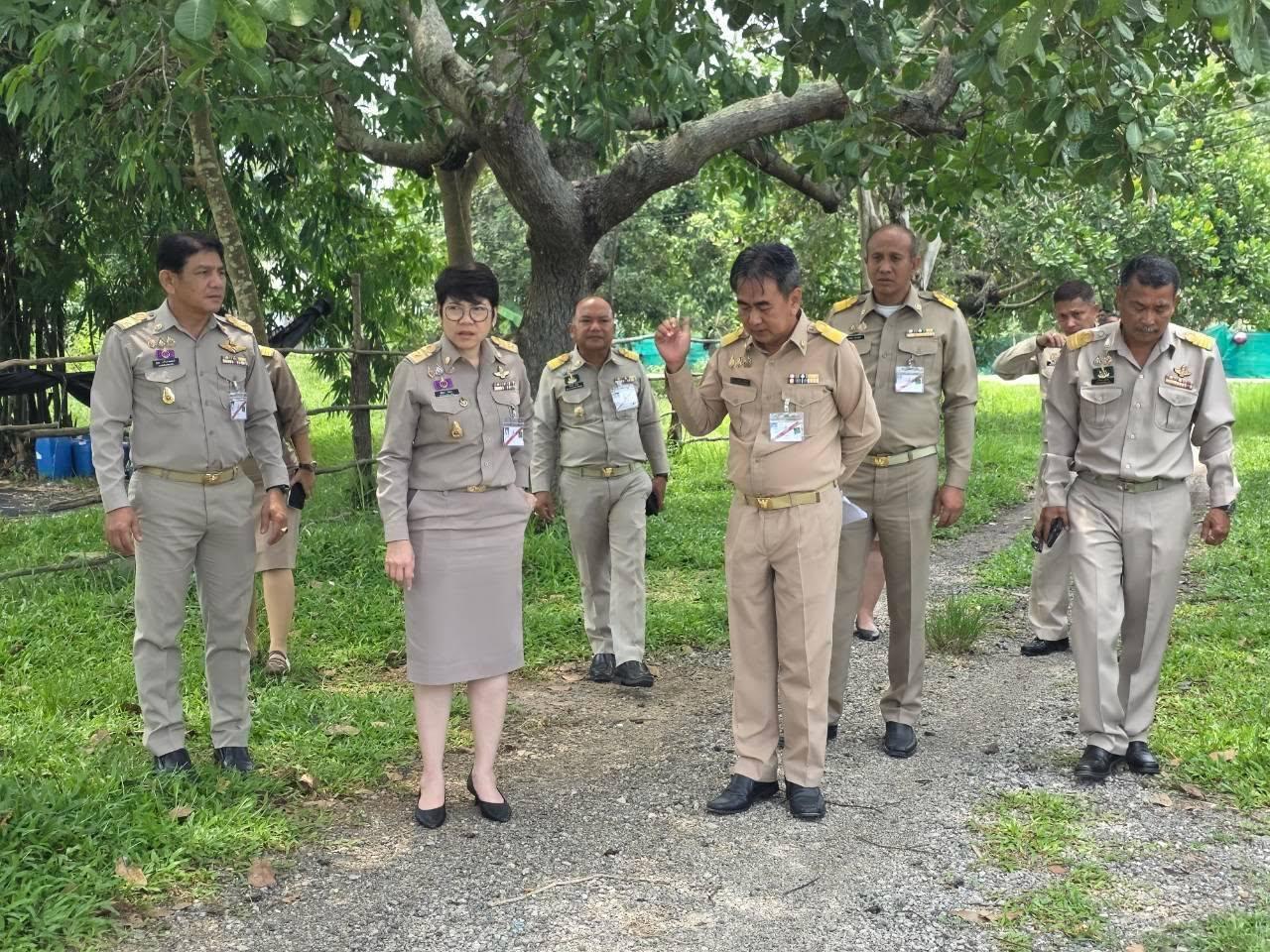 ภาพประกอบที่ 5