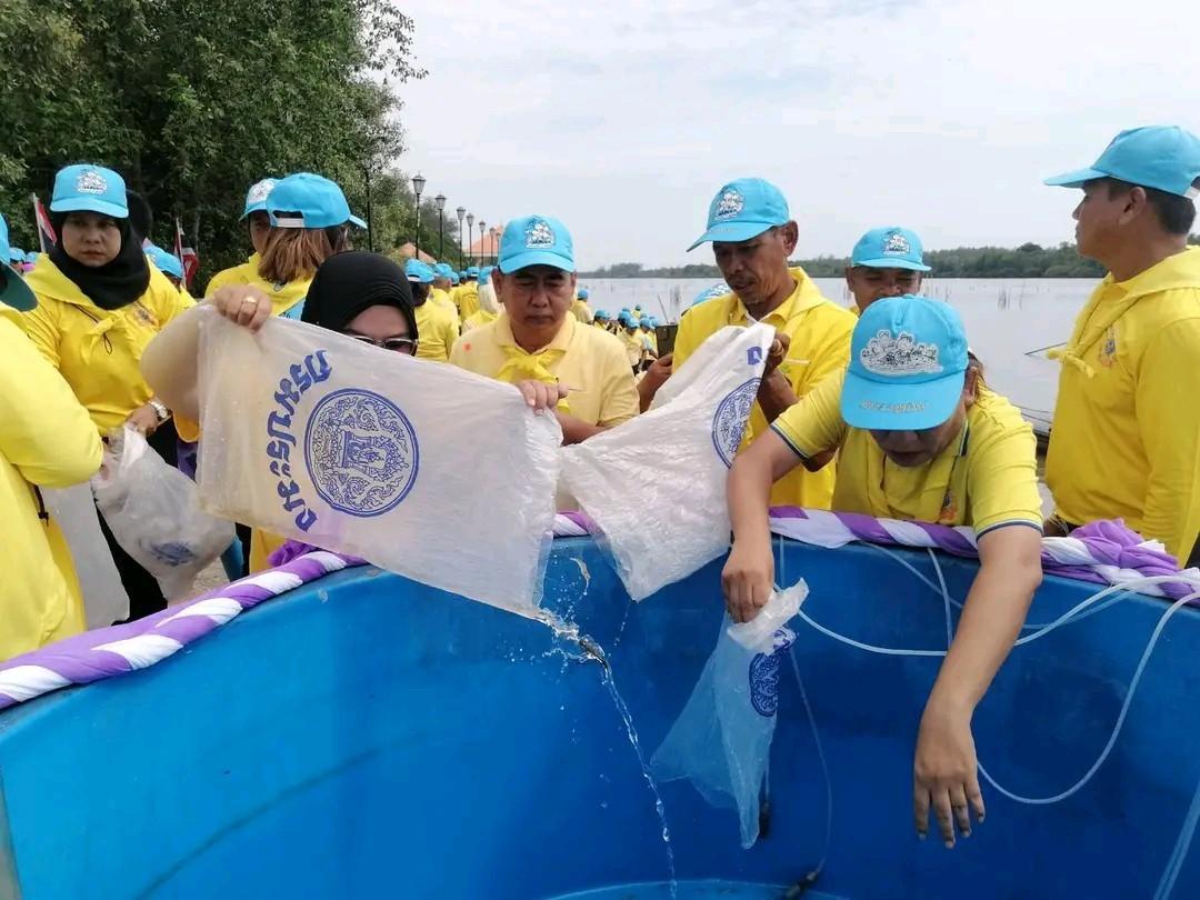 ภาพประกอบที่ 8