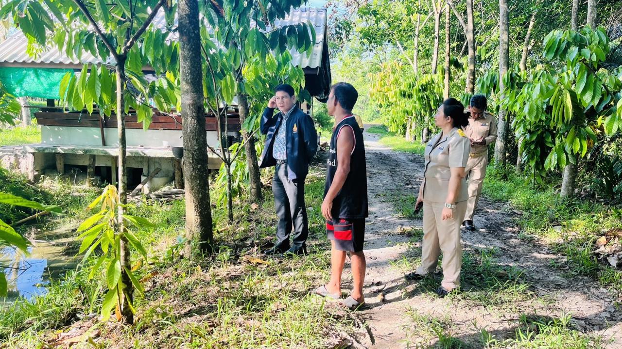 ภาพประกอบที่ 13