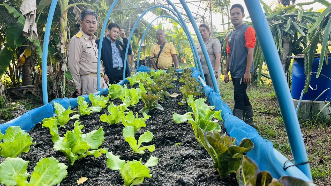 ภาพประกอบที่ 15