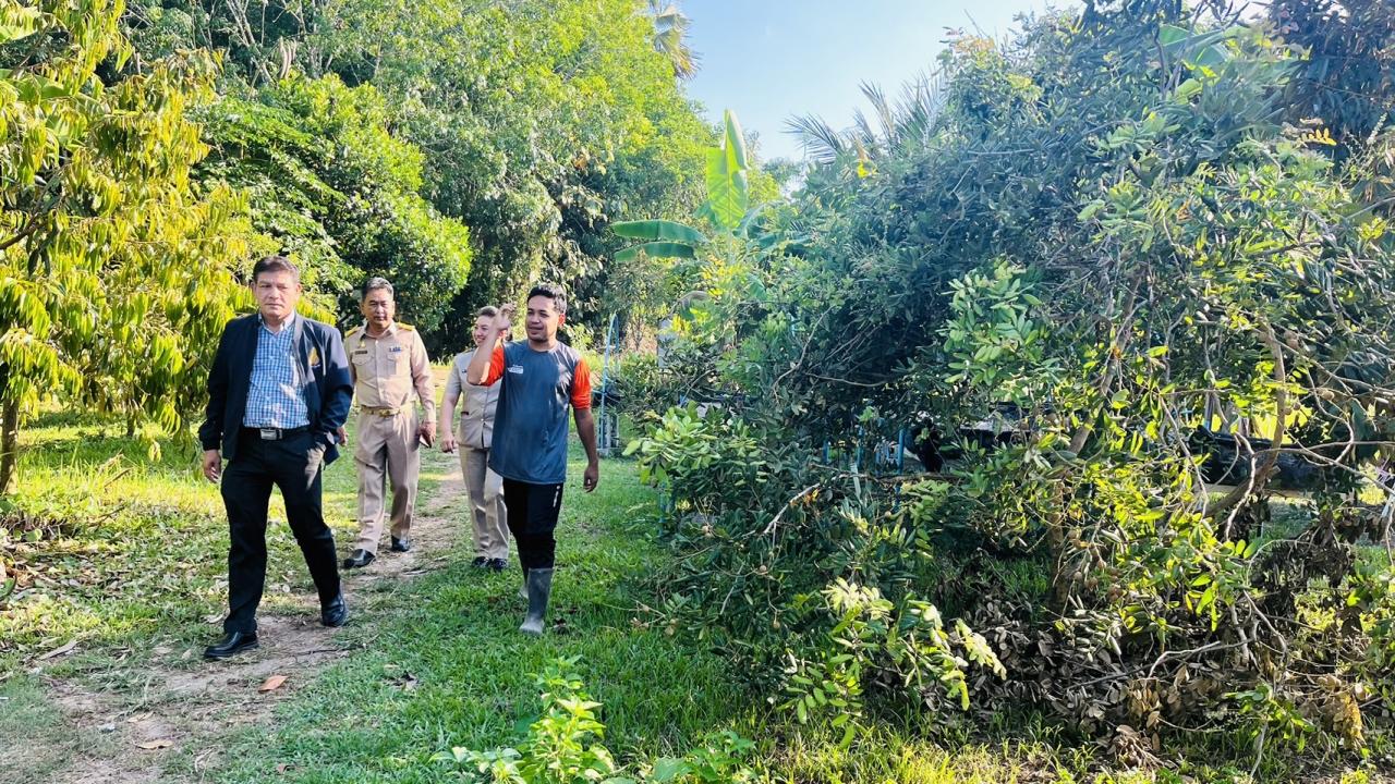 ภาพประกอบที่ 16