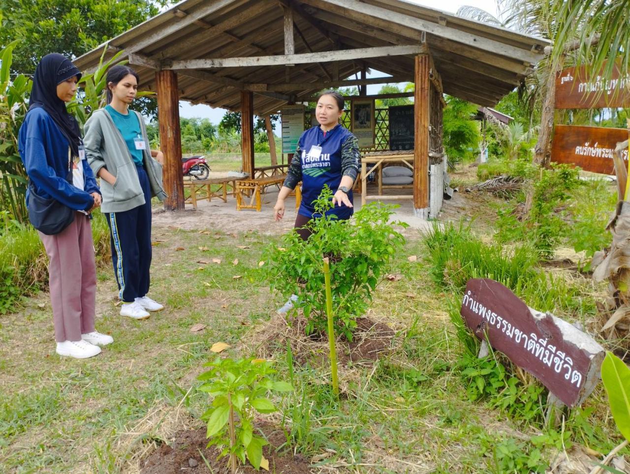 ภาพประกอบที่ 0