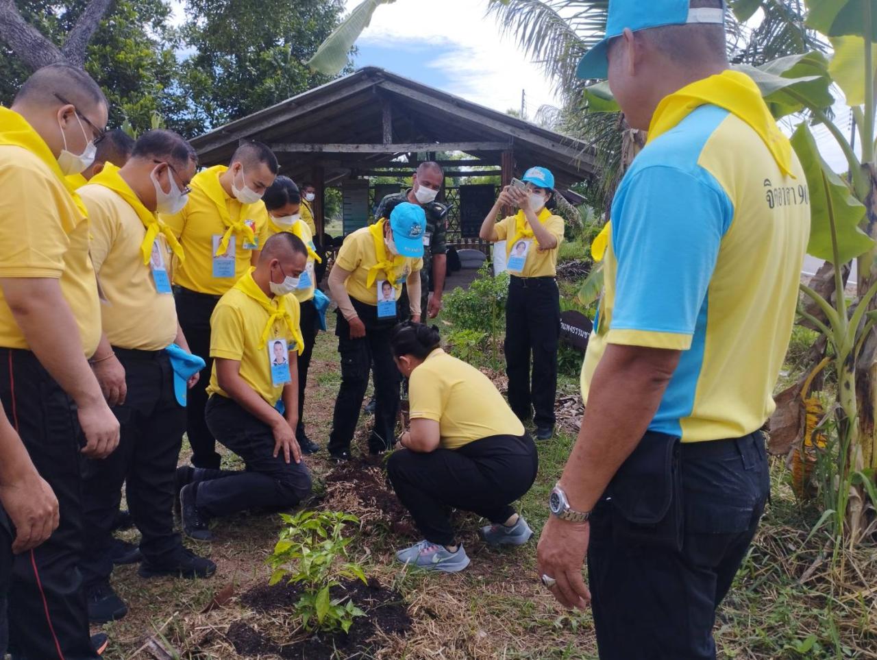 ภาพประกอบที่ 0