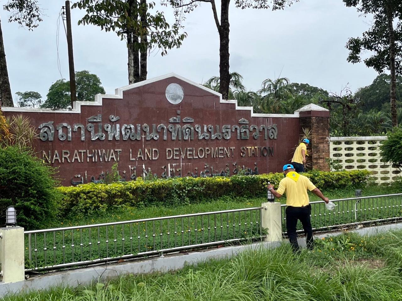 ภาพประกอบที่ 5