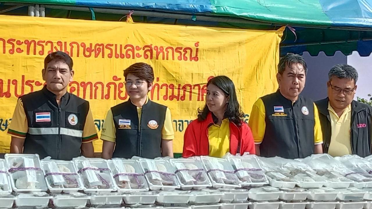 ภาพประกอบที่ 1