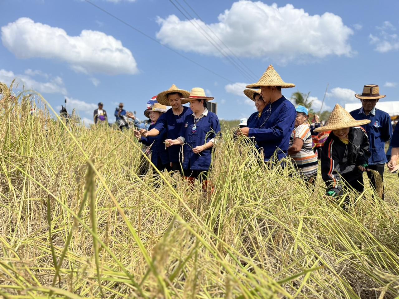ภาพประกอบที่ 3