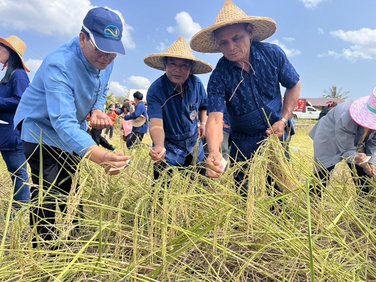 ภาพประกอบที่ 4