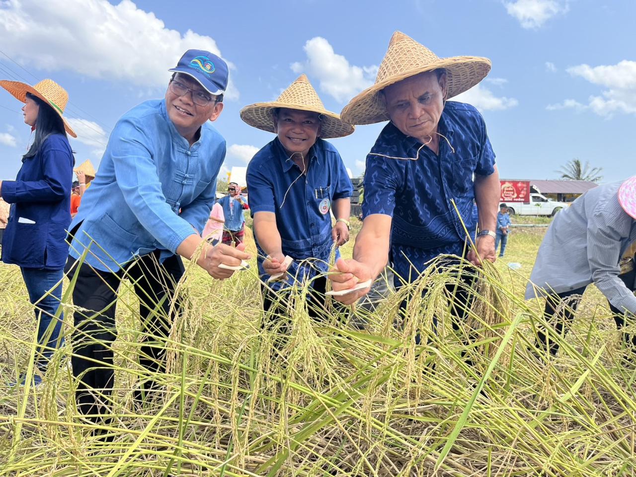 ภาพประกอบที่ 5