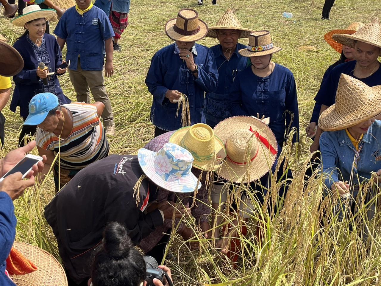 ภาพประกอบที่ 7