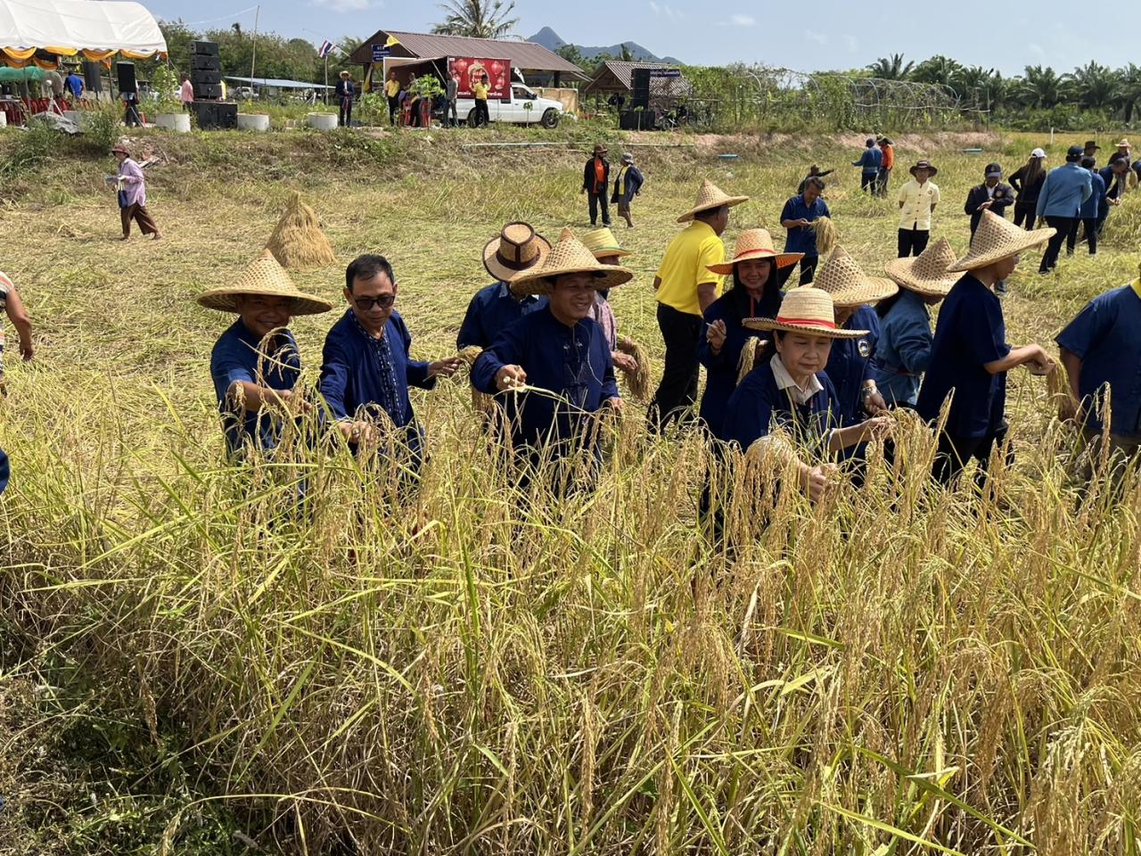 ภาพประกอบที่ 8