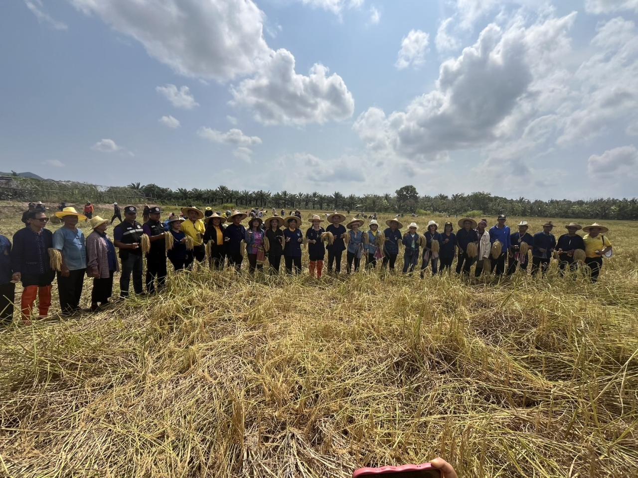 ภาพประกอบที่ 9