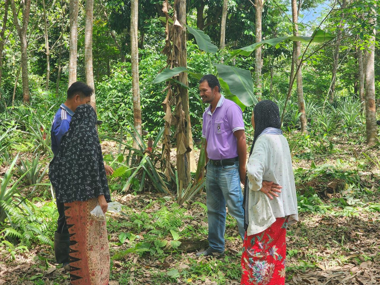 ภาพประกอบที่ 1