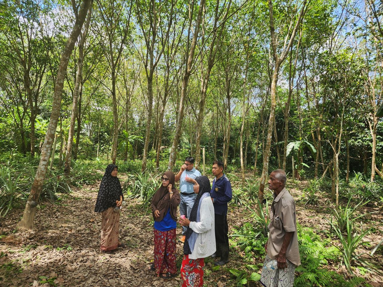 ภาพประกอบที่ 3