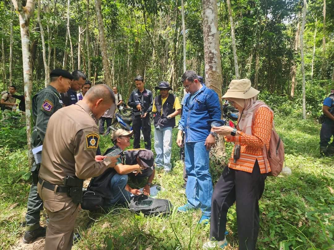 ภาพประกอบที่ 0