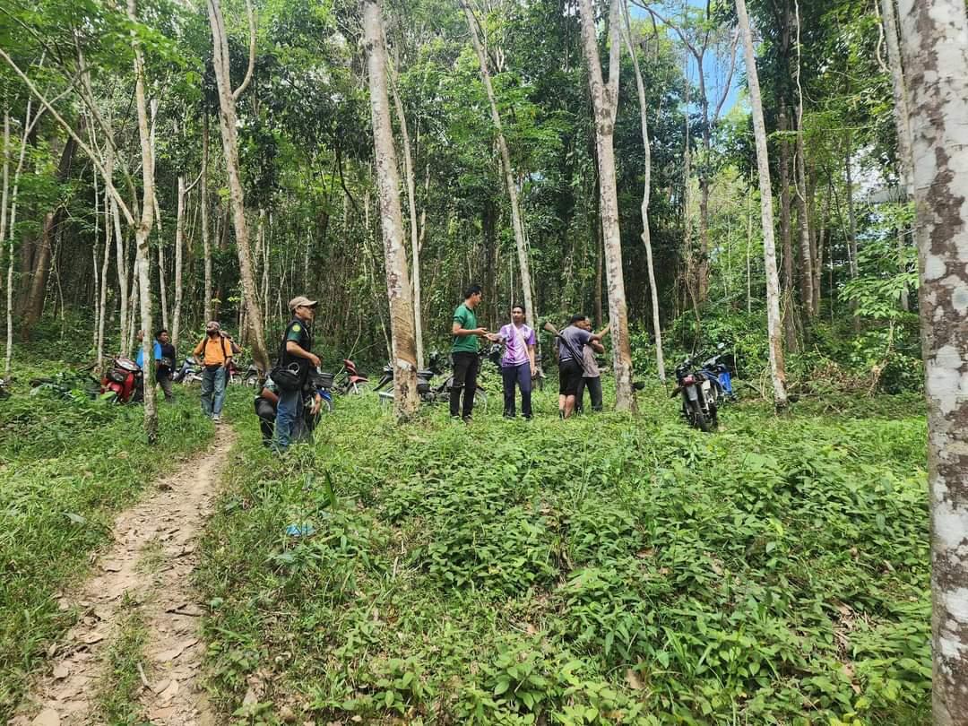 ภาพประกอบที่ 5