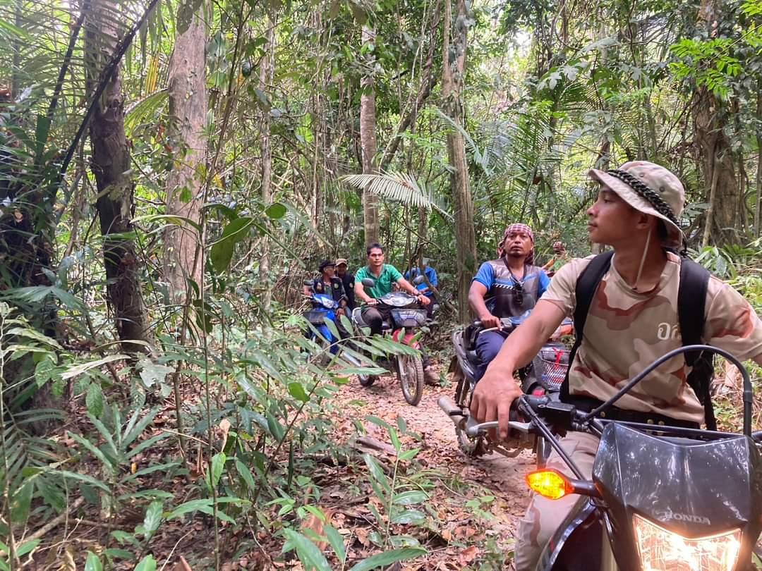 ภาพประกอบที่ 11
