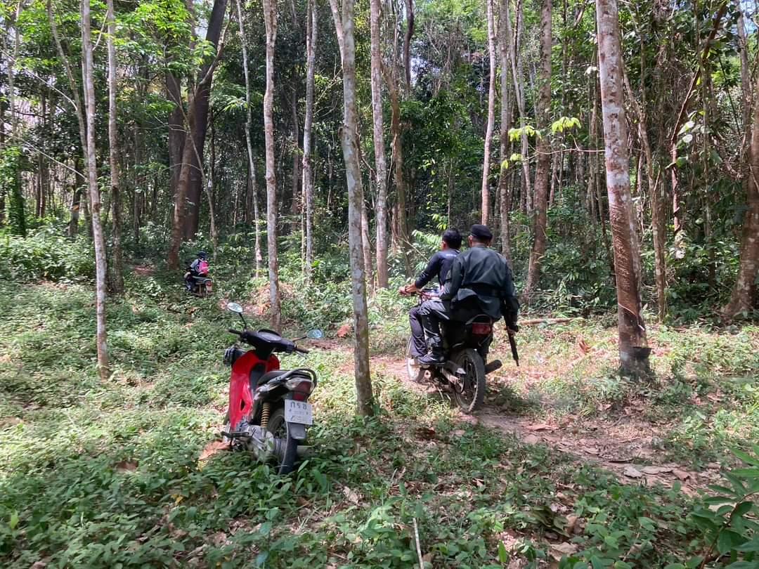 ภาพประกอบที่ 12