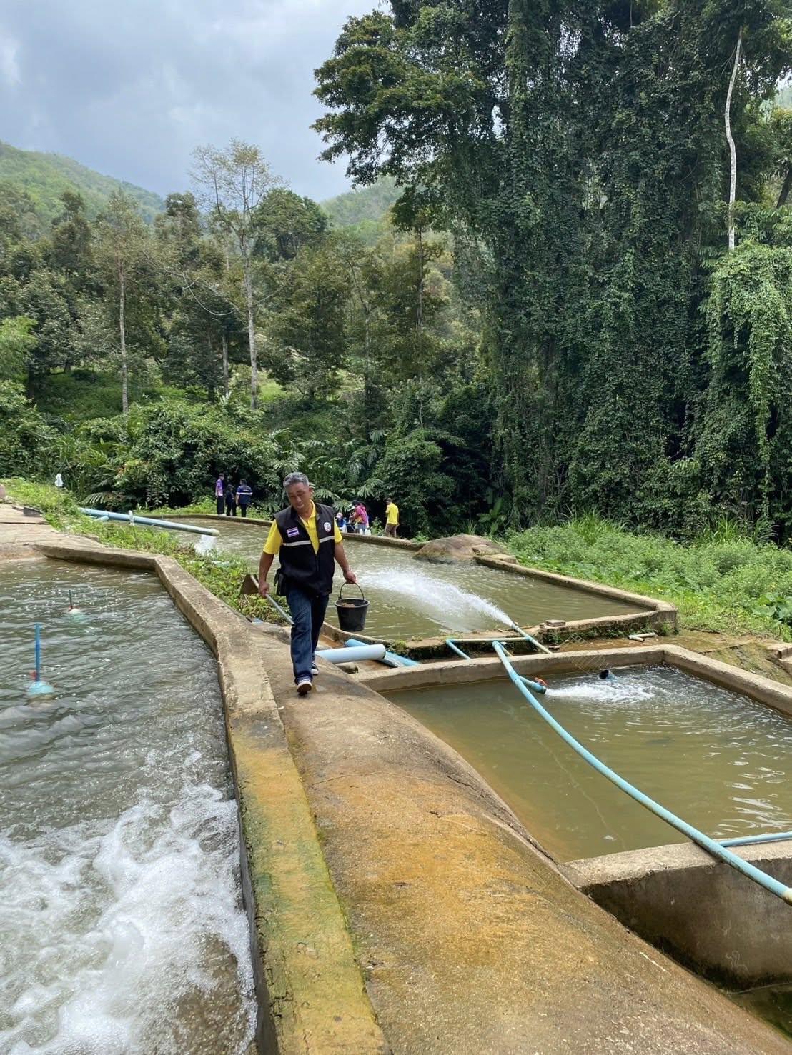 ภาพประกอบที่ 5