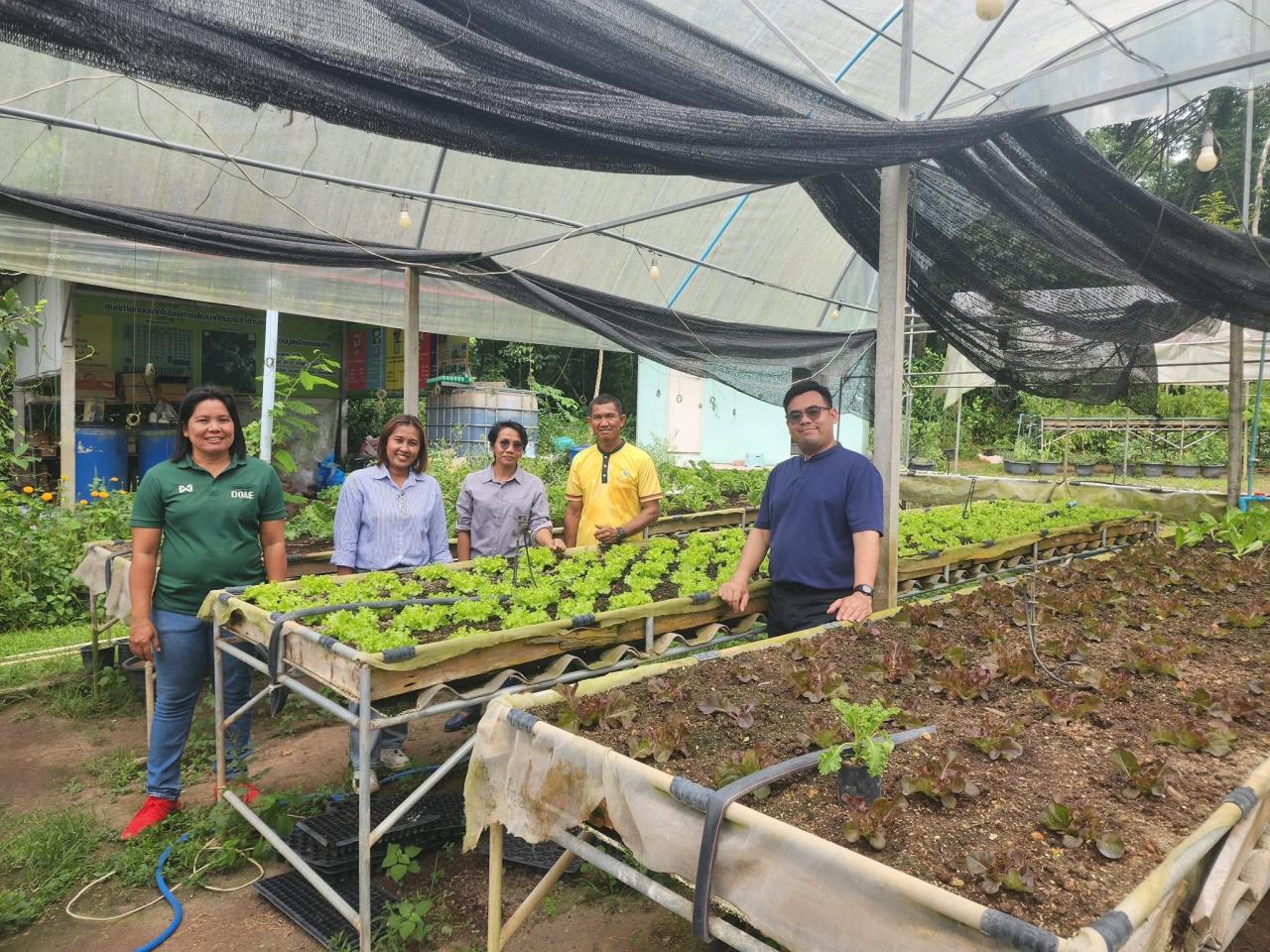 ภาพประกอบที่ 5