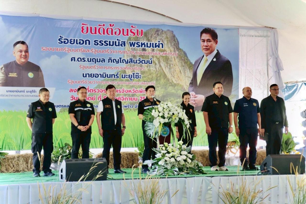 ภาพประกอบที่ 9