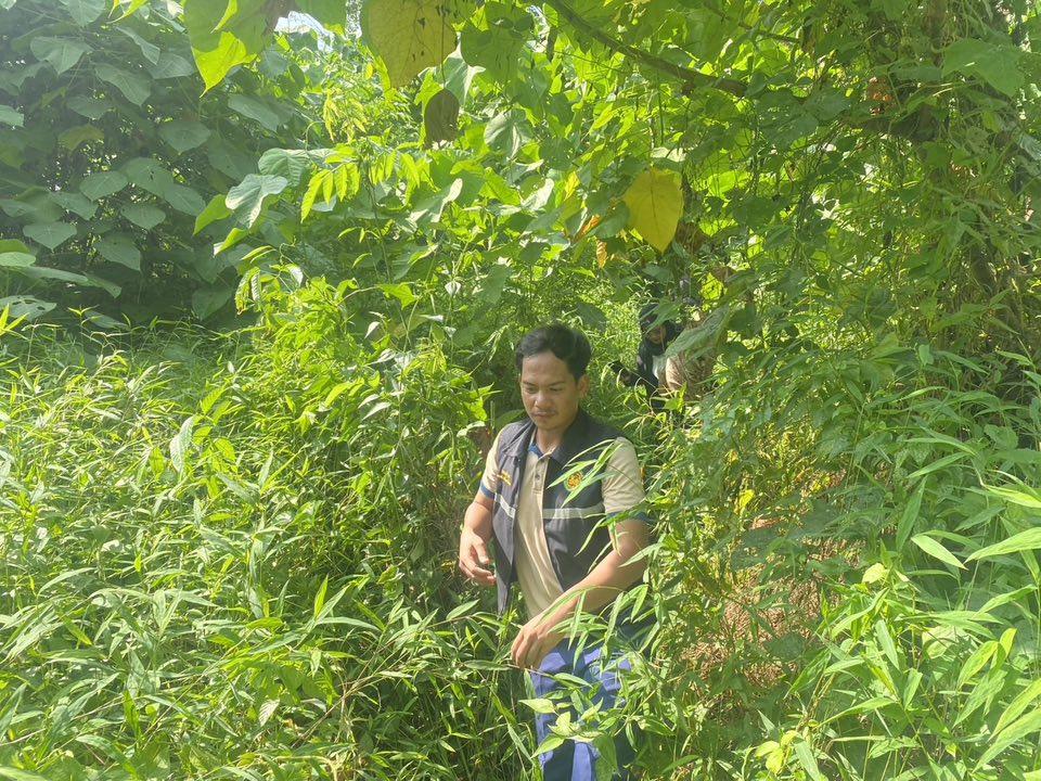 ภาพประกอบที่ 3