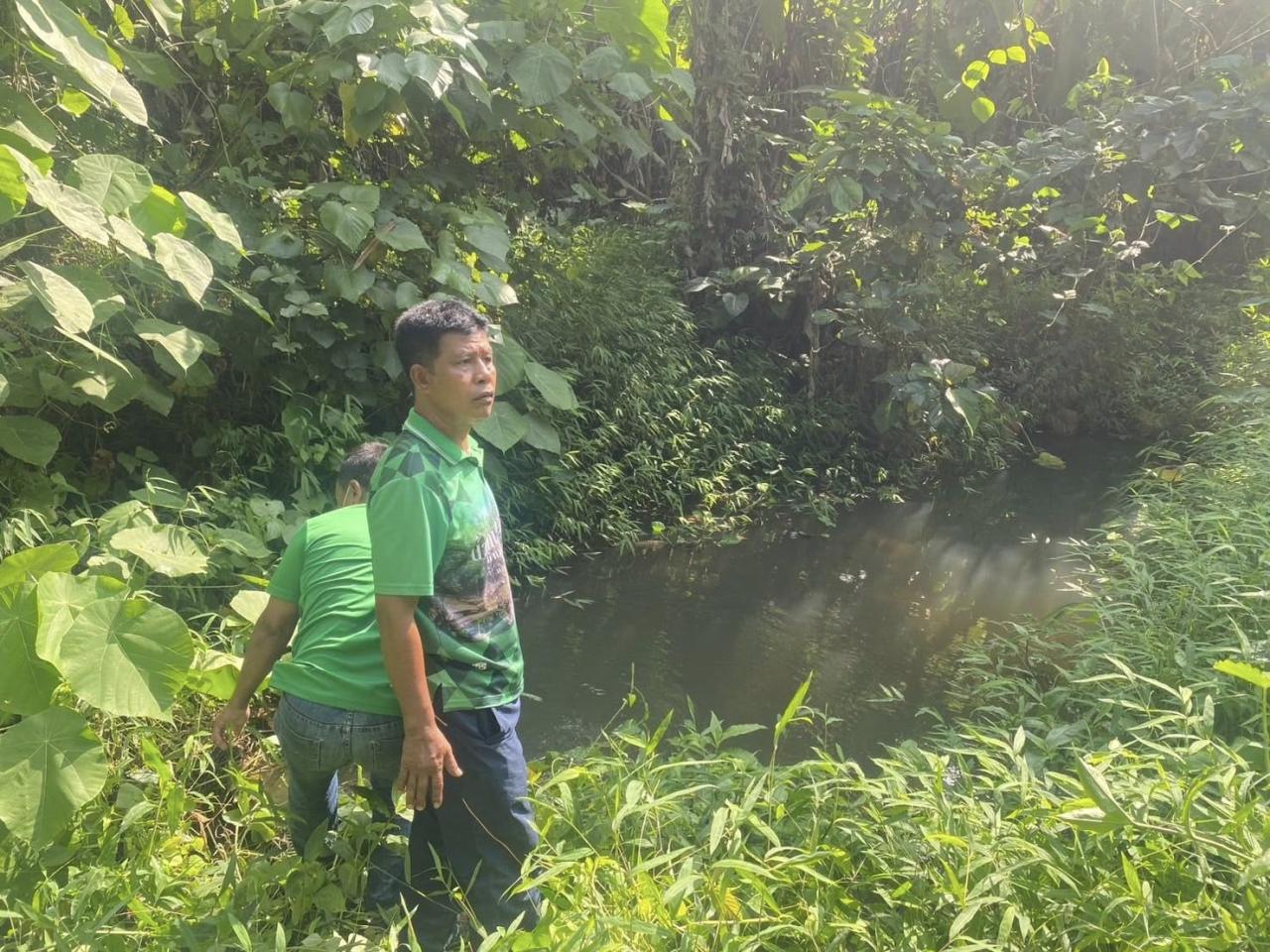 ภาพประกอบที่ 4